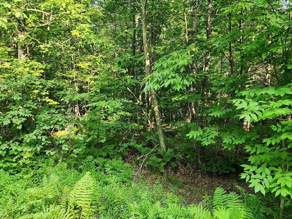 1.5 Acres of Residential Land for Sale in Tomahawk, Wisconsin