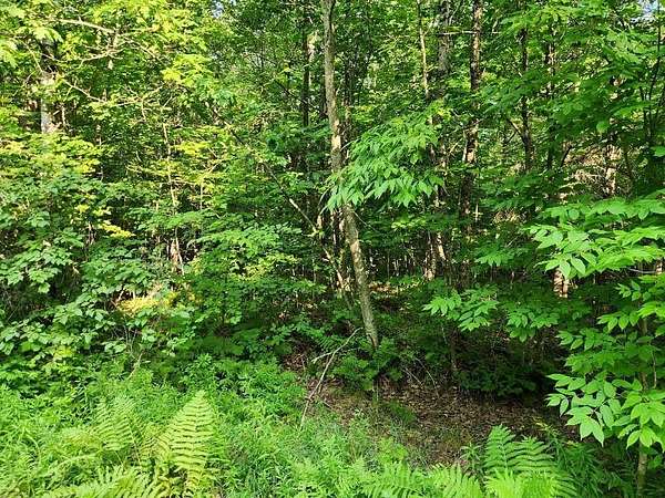 1.5 Acres of Residential Land for Sale in Tomahawk, Wisconsin