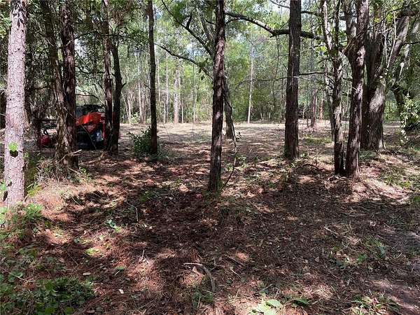 2 Acres of Residential Land for Sale in Kissimmee, Florida