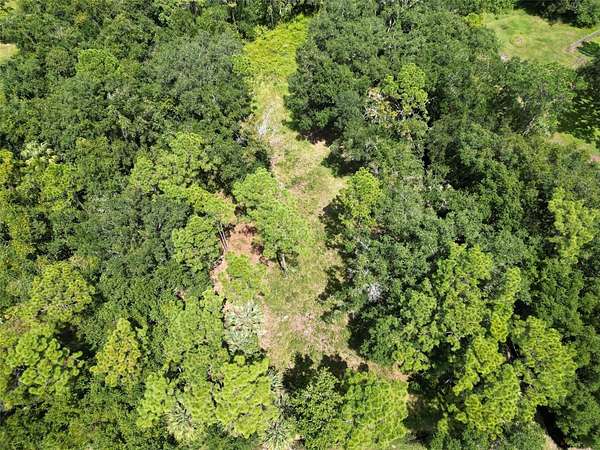2 Acres of Residential Land for Sale in Kissimmee, Florida