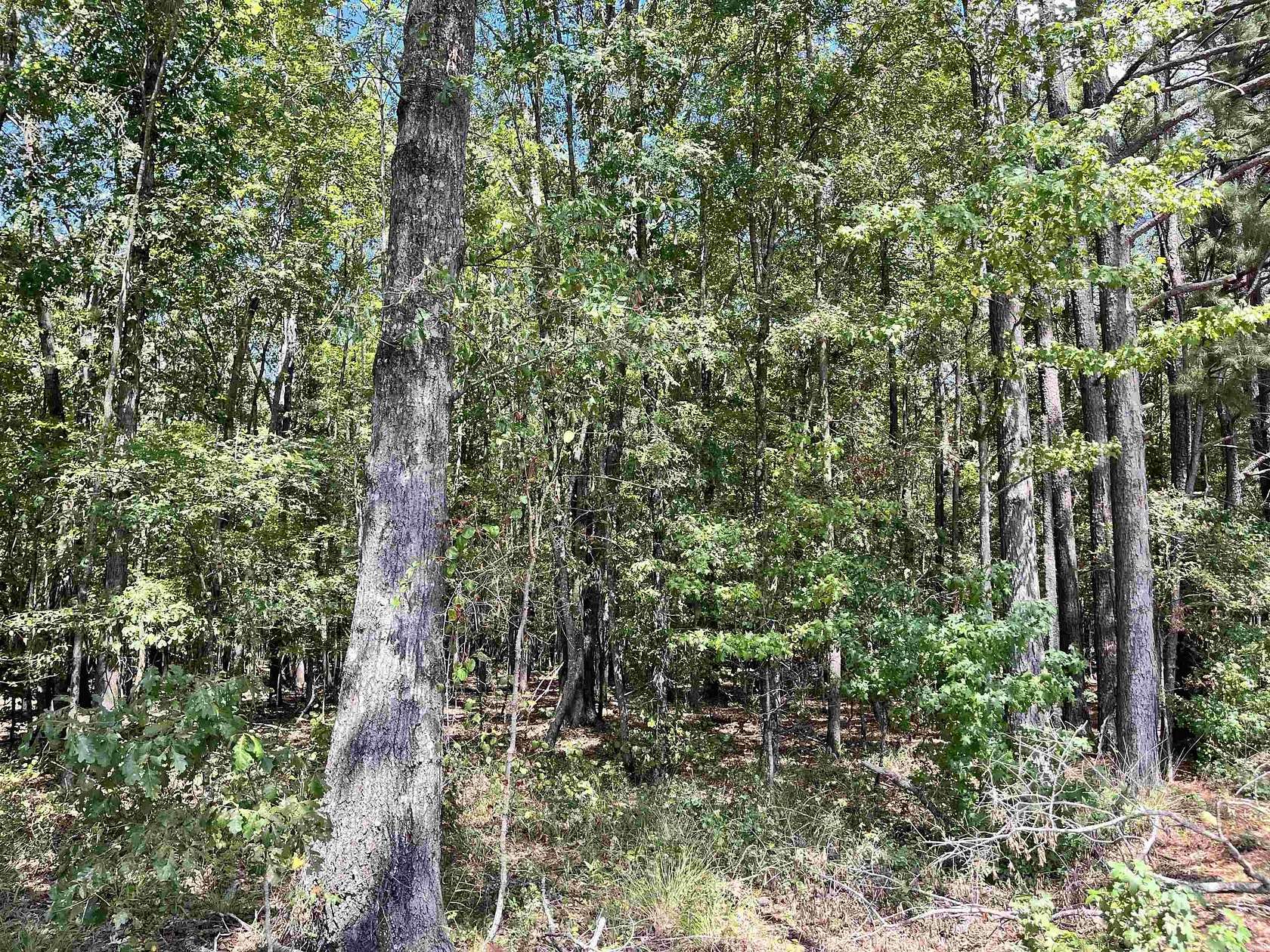 23 Acres of Recreational & Residential Land for Sale in Haskell, Arkansas
