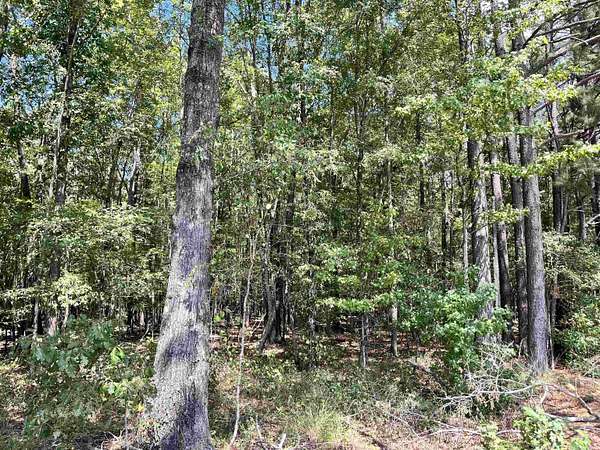 23 Acres of Recreational & Residential Land for Sale in Haskell, Arkansas