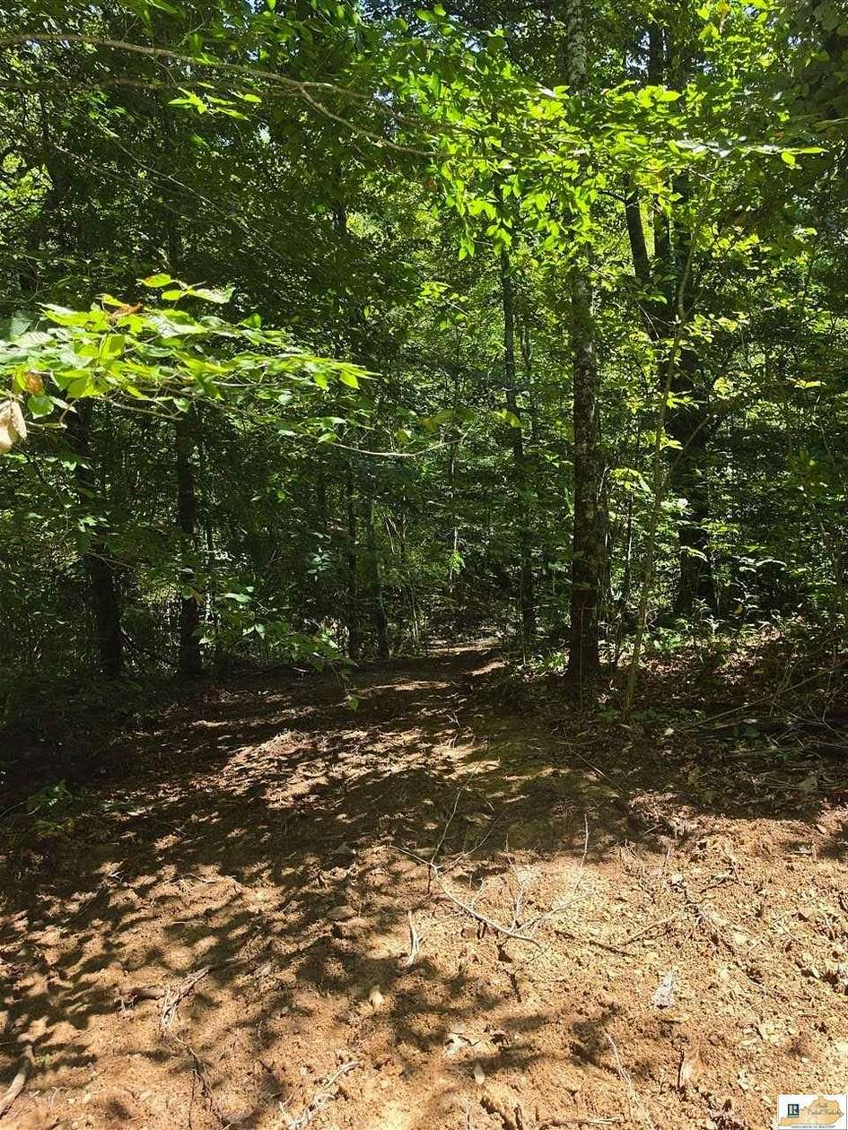 116 Acres of Recreational Land for Sale in Edmonton, Kentucky