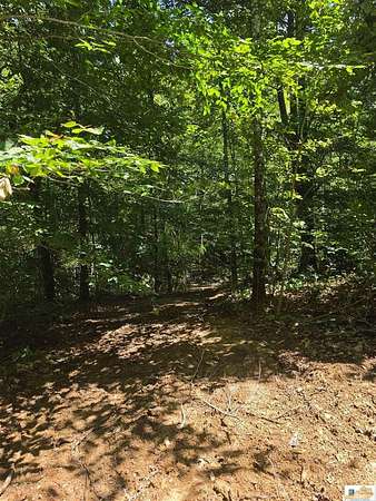 116 Acres of Recreational Land for Sale in Edmonton, Kentucky