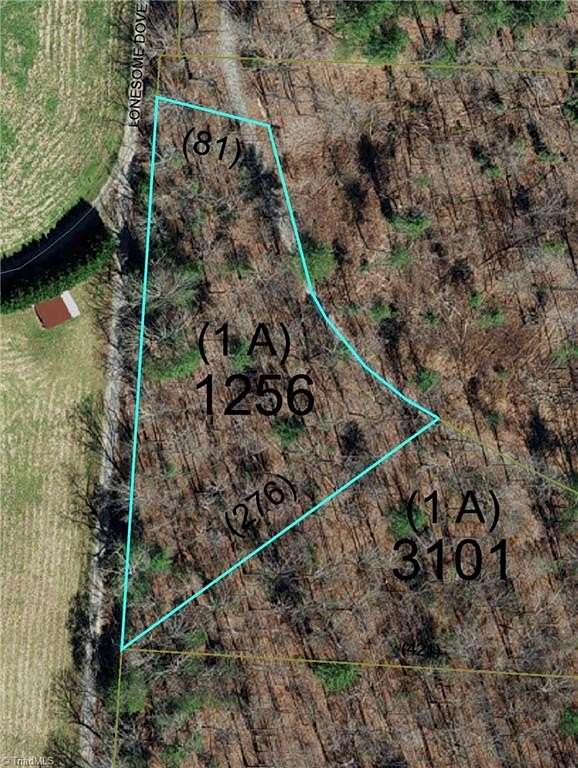 1 Acre of Residential Land for Sale in Boomer, North Carolina