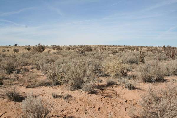 1.14 Acres of Residential Land for Sale in Rio Rancho, New Mexico