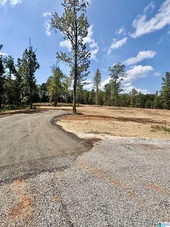 6.9 Acres of Residential Land for Sale in Wedowee, Alabama
