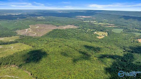 98 Acres of Recreational & Residential Land for Sale in Collinsville, Alabama
