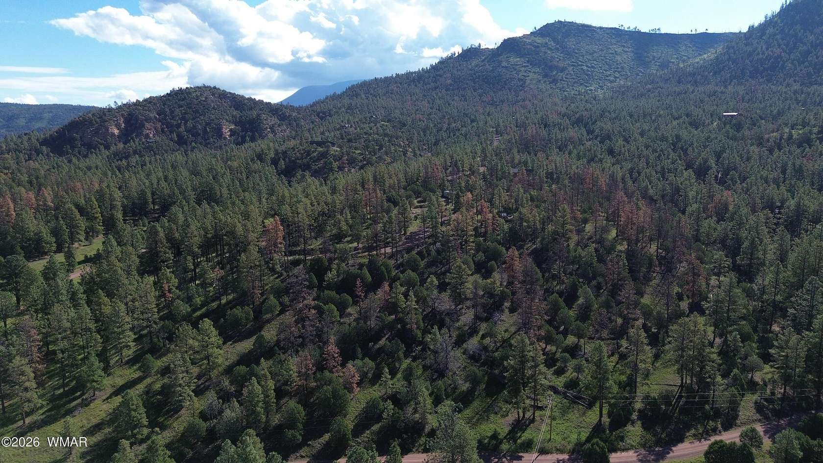 4 Acres of Residential Land for Sale in Nutrioso, Arizona