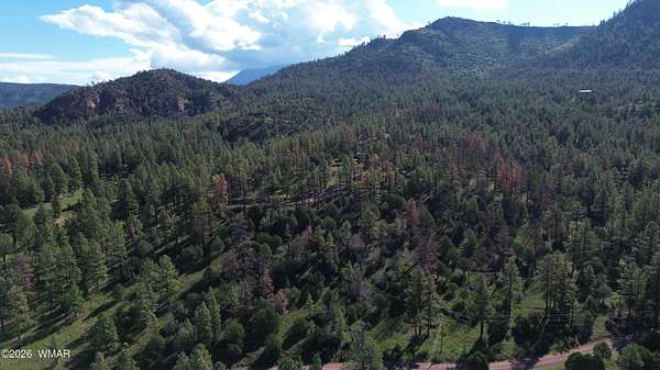 4 Acres of Residential Land for Sale in Nutrioso, Arizona
