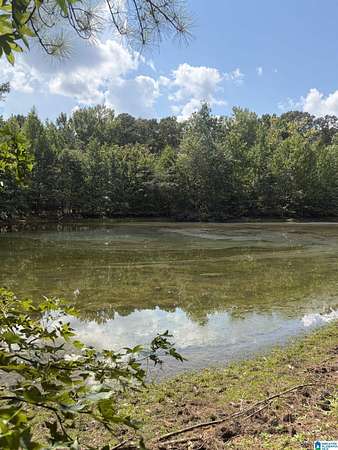 43 Acres of Agricultural & Residential Land for Sale in Clanton, Alabama