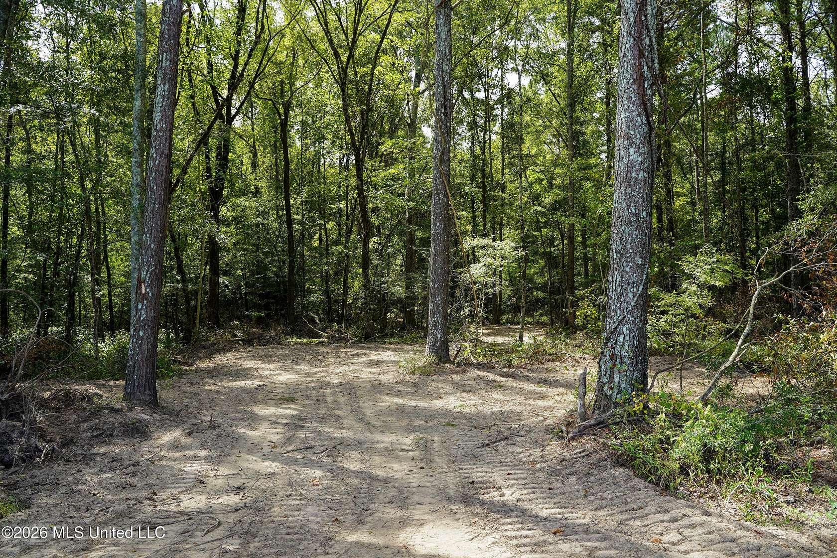 67.7 Acres of Recreational Land for Sale in Brandon, Mississippi
