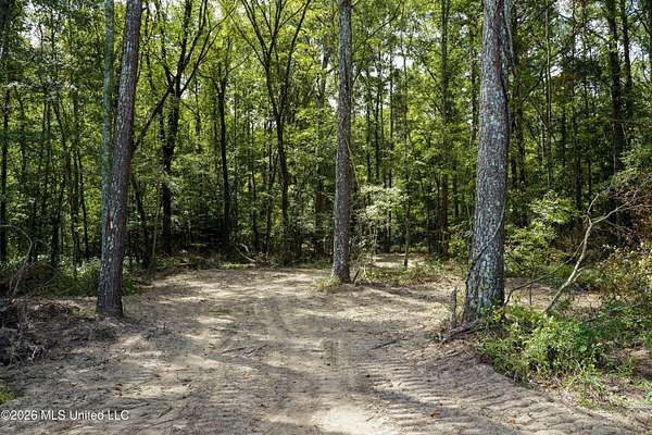 67.7 Acres of Recreational Land for Sale in Brandon, Mississippi
