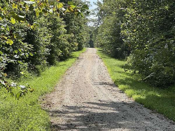 60 Acres of Land for Sale in Cromwell, Kentucky