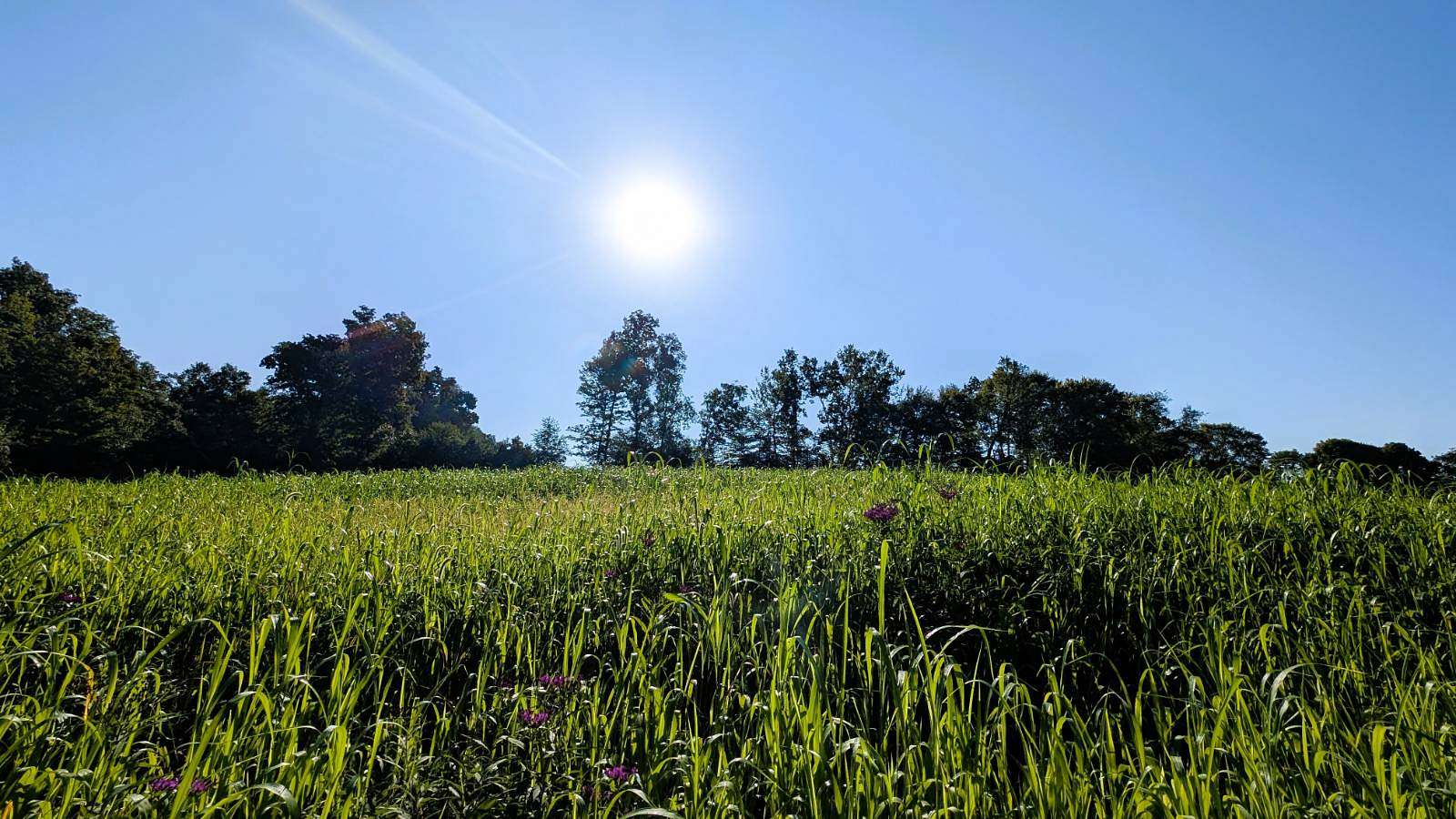 40 Acres of Land for Sale in Somerset, Ohio