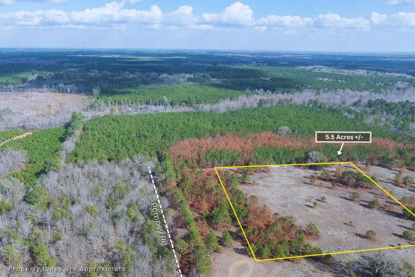 5.5 Acres of Land for Sale in Manning, South Carolina