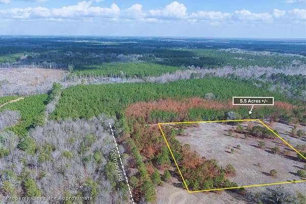 5.5 Acres of Land for Sale in Manning, South Carolina