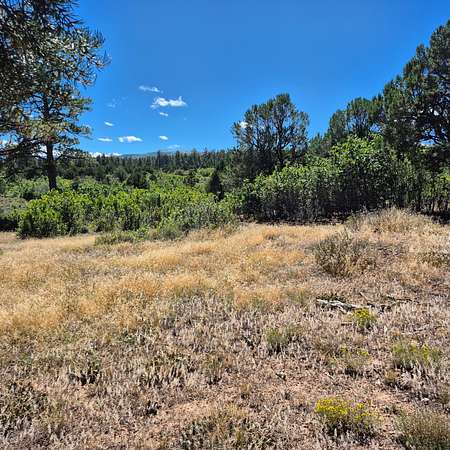 40 Acres of Land for Sale in Montrose, Colorado