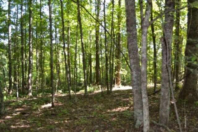3 Acres of Residential Land for Sale in Celina, Tennessee