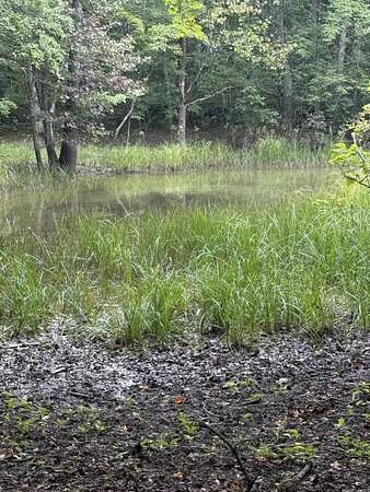 12 Acres of Land for Sale in Pikeville, Tennessee