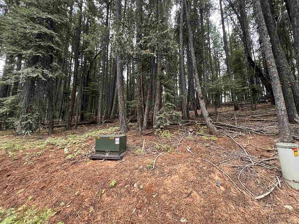 0.46 Acres of Residential Land for Sale in Quincy, California