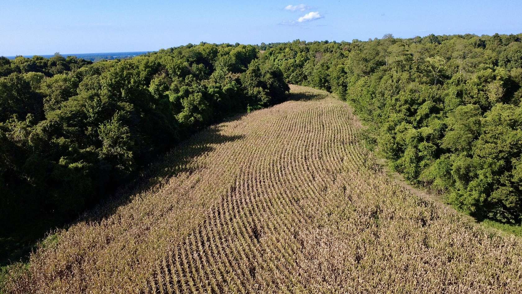 362 Acres of Land for Sale in Bardwell, Kentucky
