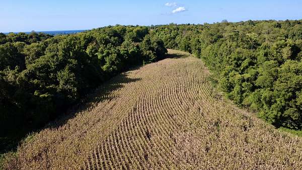 362 Acres of Land for Sale in Bardwell, Kentucky