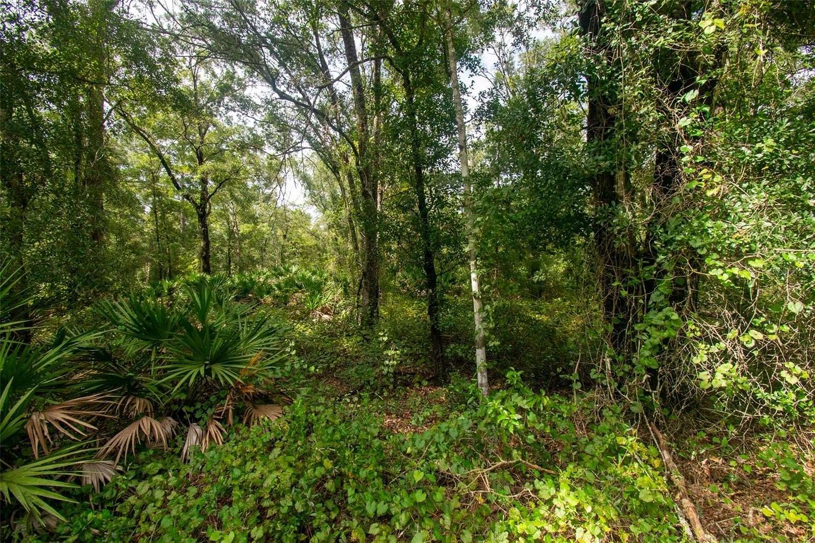 1.1 Acres of Residential Land for Sale in Hastings, Florida
