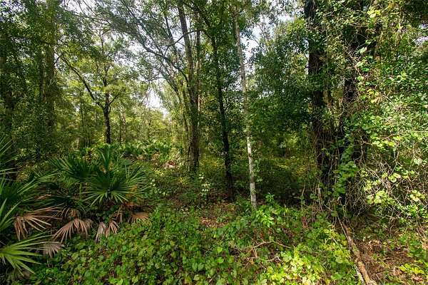 1.1 Acres of Residential Land for Sale in Hastings, Florida