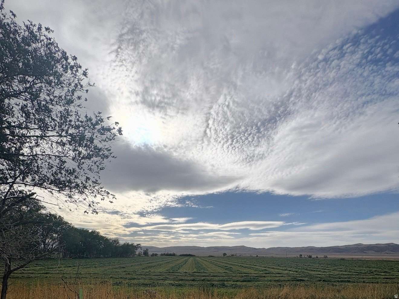 10.6 Acres of Agricultural Land for Sale in Levan, Utah
