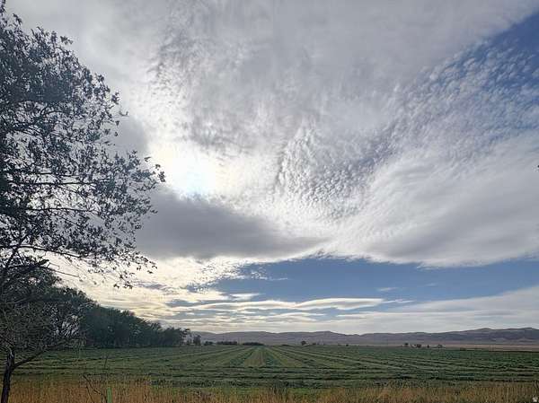 10.6 Acres of Agricultural Land for Sale in Levan, Utah