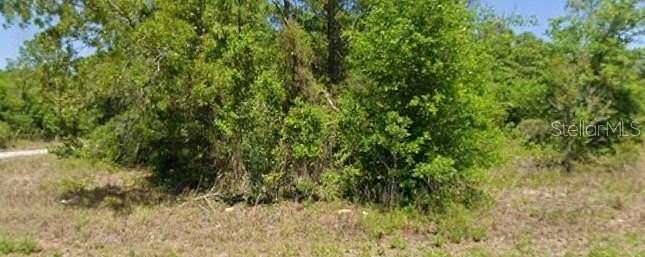 0.26 Acres of Residential Land for Sale in Dunnellon, Florida