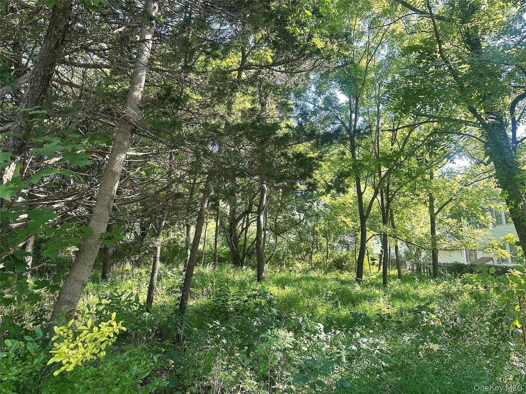 0.31 Acres of Residential Land for Sale in Wallkill, New York