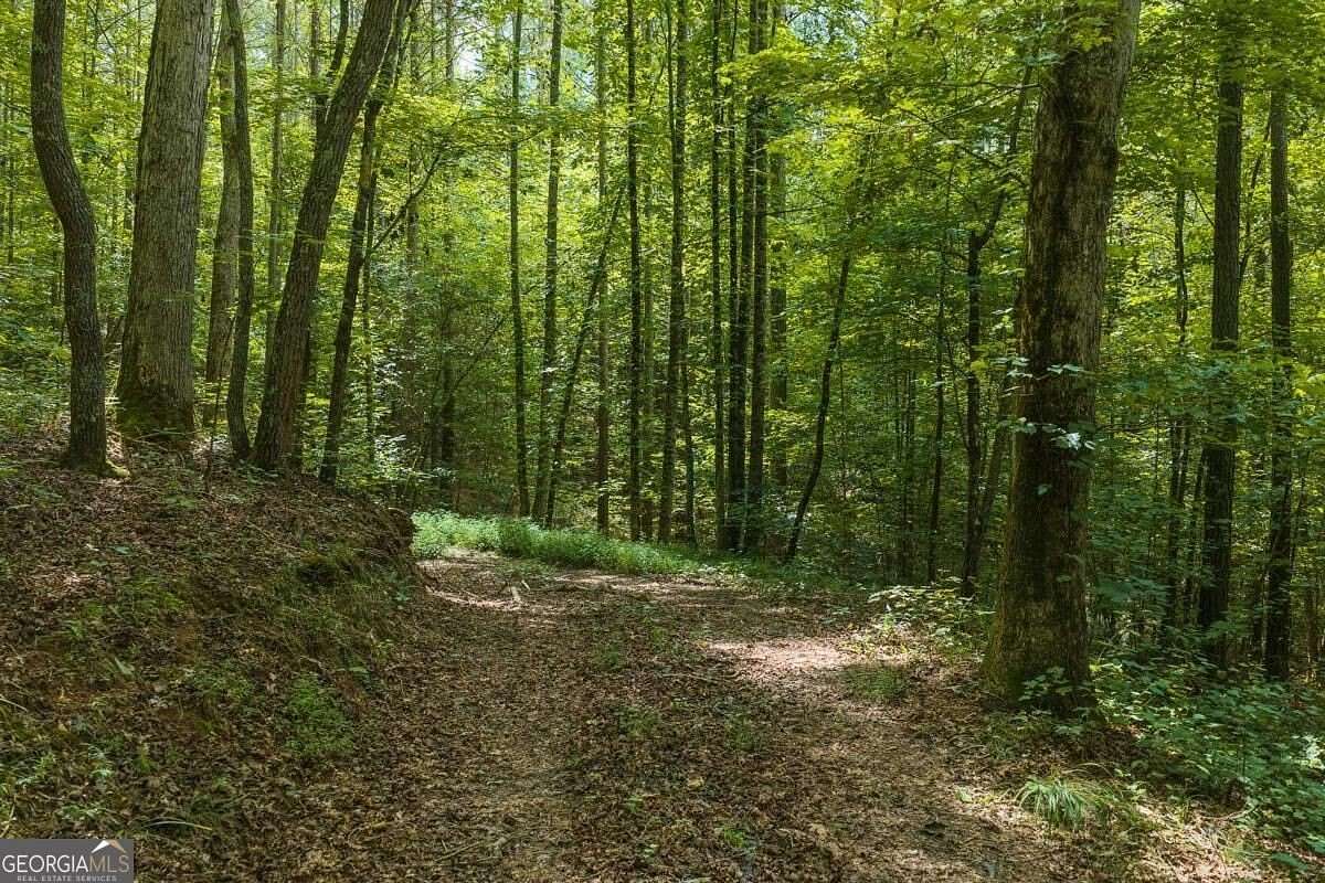 2.89 Acres of Residential Land for Sale in Ellijay, Georgia