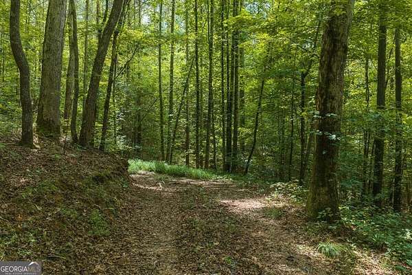2.89 Acres of Residential Land for Sale in Ellijay, Georgia