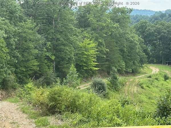 29 Acres of Recreational Land with Home for Sale in Poca, West Virginia