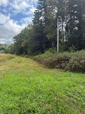 82 Acres of Recreational & Residential Land for Sale in Fort Kent, Maine