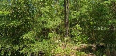 0.24 Acres of Residential Land for Sale in Dunnellon, Florida