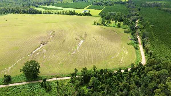 14.3 Acres of Land for Sale in Greenville, Florida