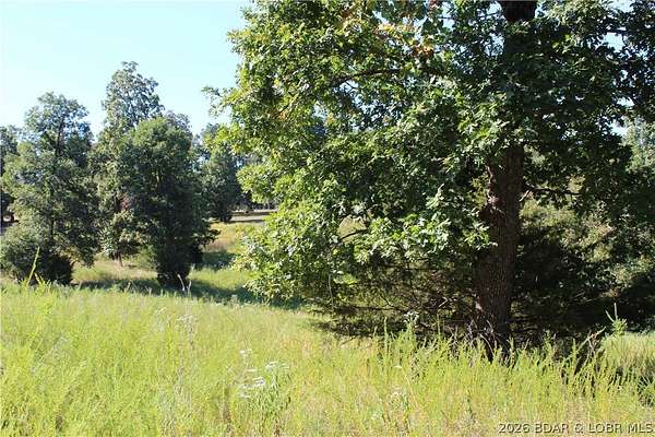 0.41 Acres of Residential Land for Sale in Gravois Mills, Missouri