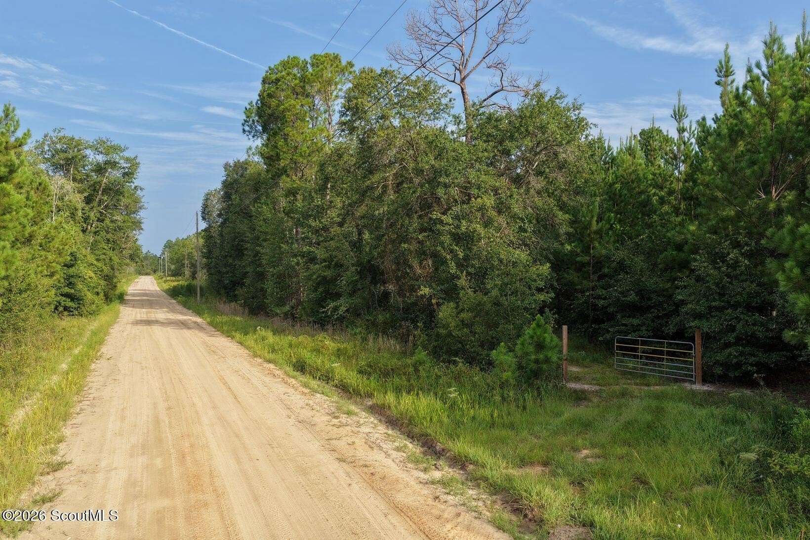3.75 Acres of Land for Sale in Hortense, Georgia