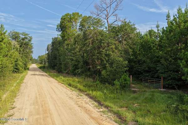 3.75 Acres of Land for Sale in Hortense, Georgia
