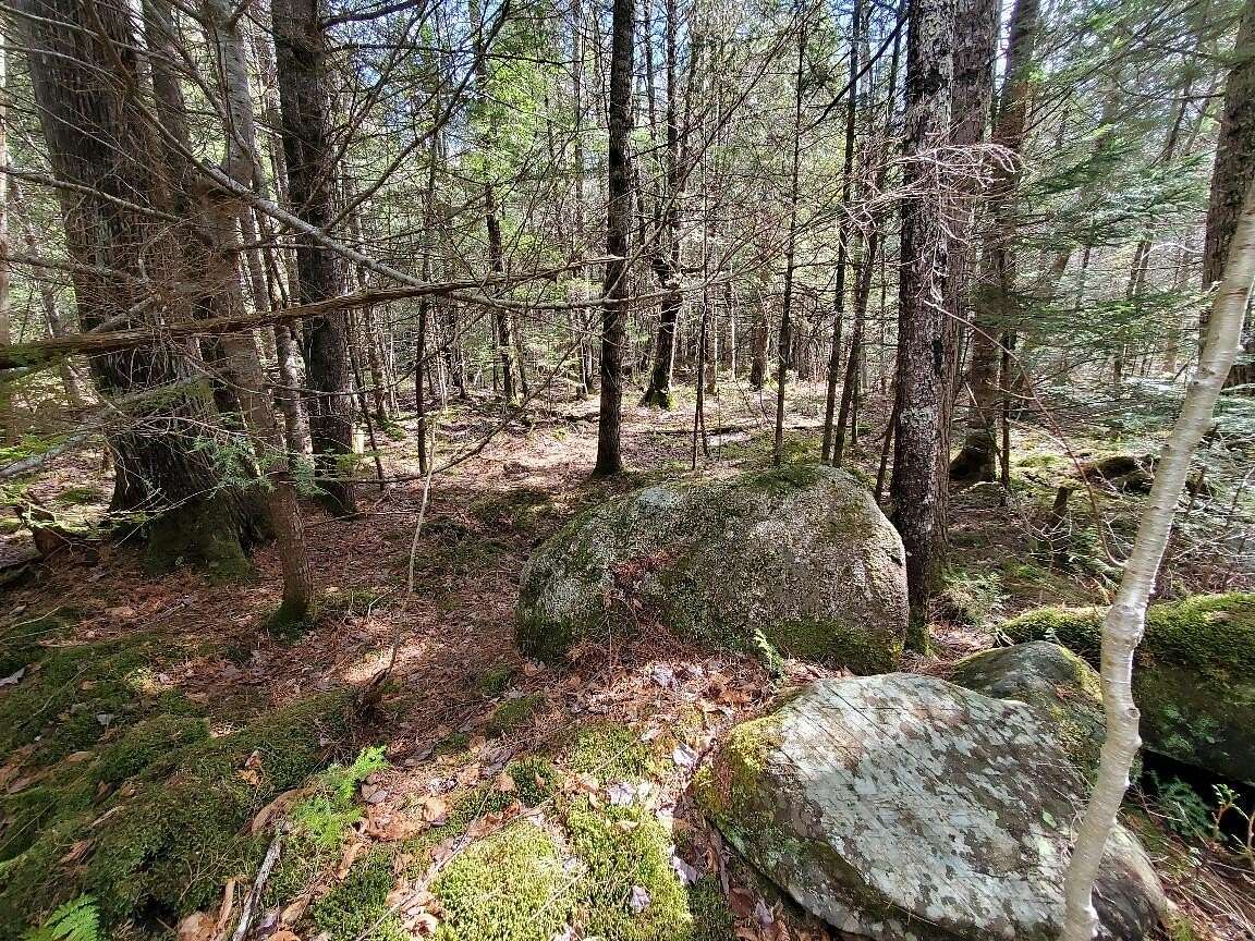 120 Acres of Recreational Land for Sale in Lagrange, Maine