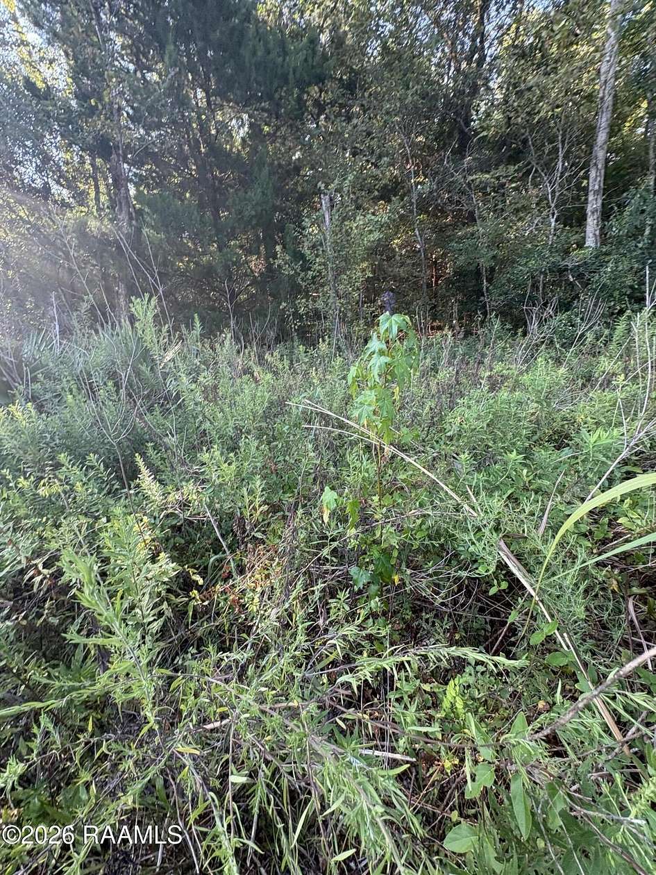 2 Acres of Commercial Land for Sale in Intracoastal City, Louisiana