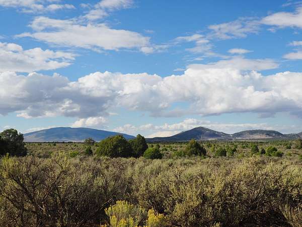 11.1 Acres of Recreational Land for Sale in Tres Piedras, New Mexico
