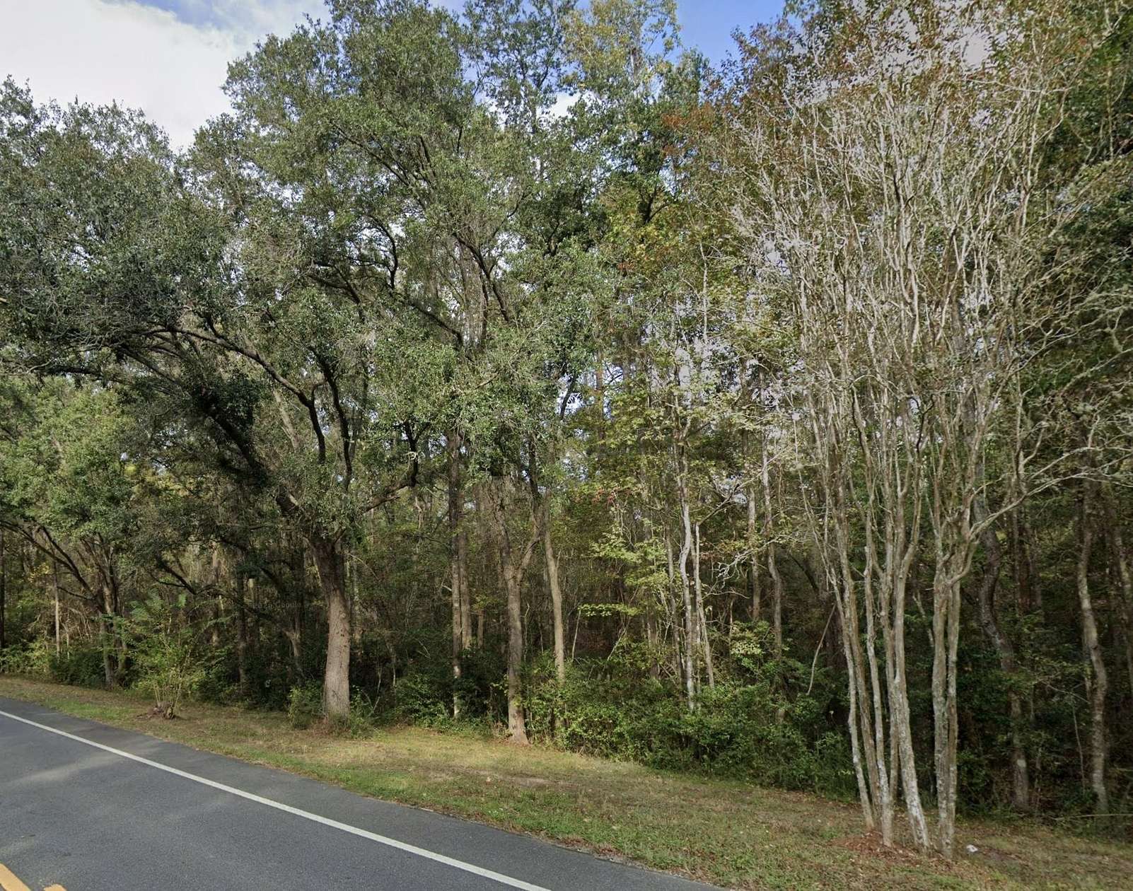 20.7 Acres of Recreational Land for Sale in Tallahassee, Florida