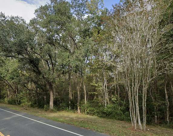 20.7 Acres of Recreational Land for Sale in Tallahassee, Florida