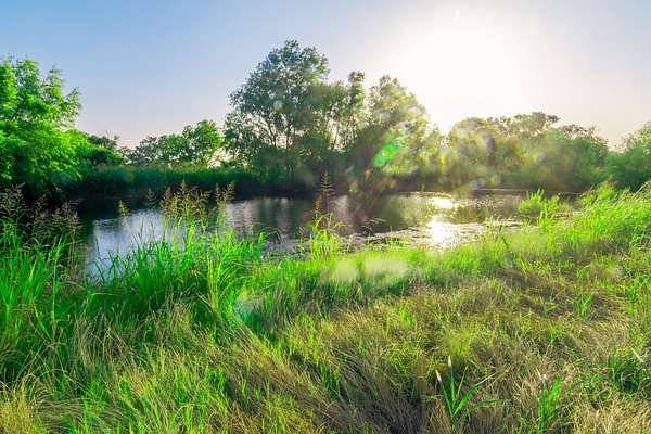 106 Acres of Land for Sale in Italy, Texas