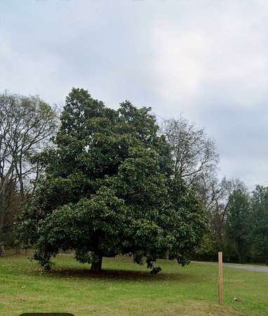 0.56 Acres of Residential Land for Sale in Old Hickory, Tennessee