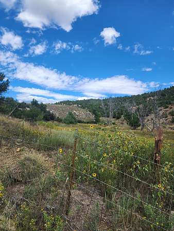1 Acre of Land for Sale in Trinidad, Colorado